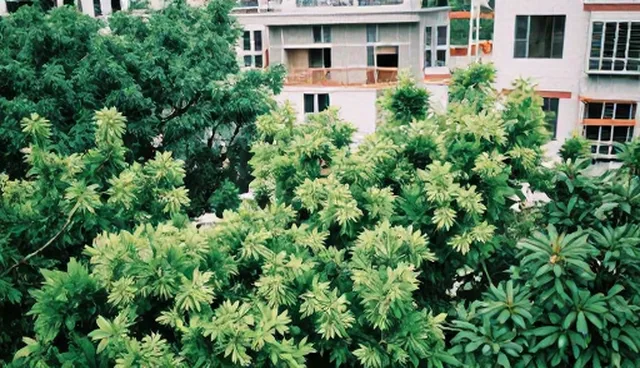 门票预订服务对比:团队接待与自助预订的实际取舍